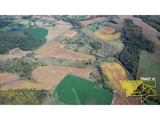 Property photo 49 - 1,153 +/- Acres offered in 15 TractsLAND AUCTION